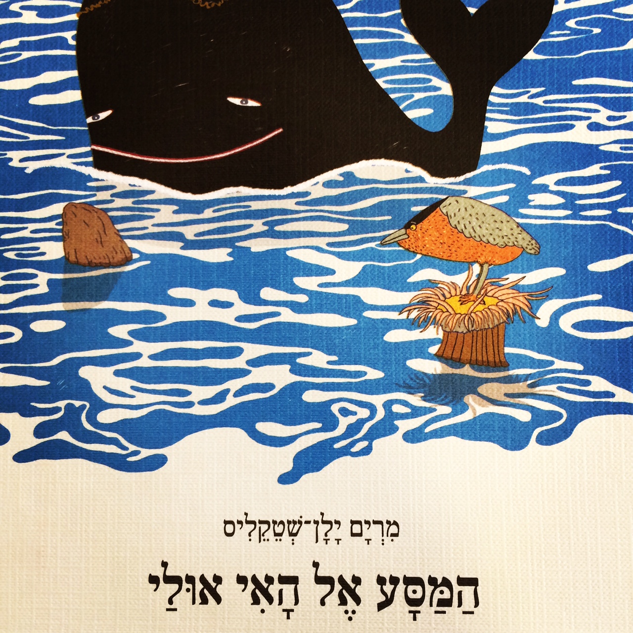 המסע אל האי אולי