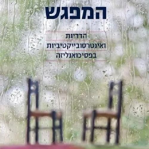 המפגש