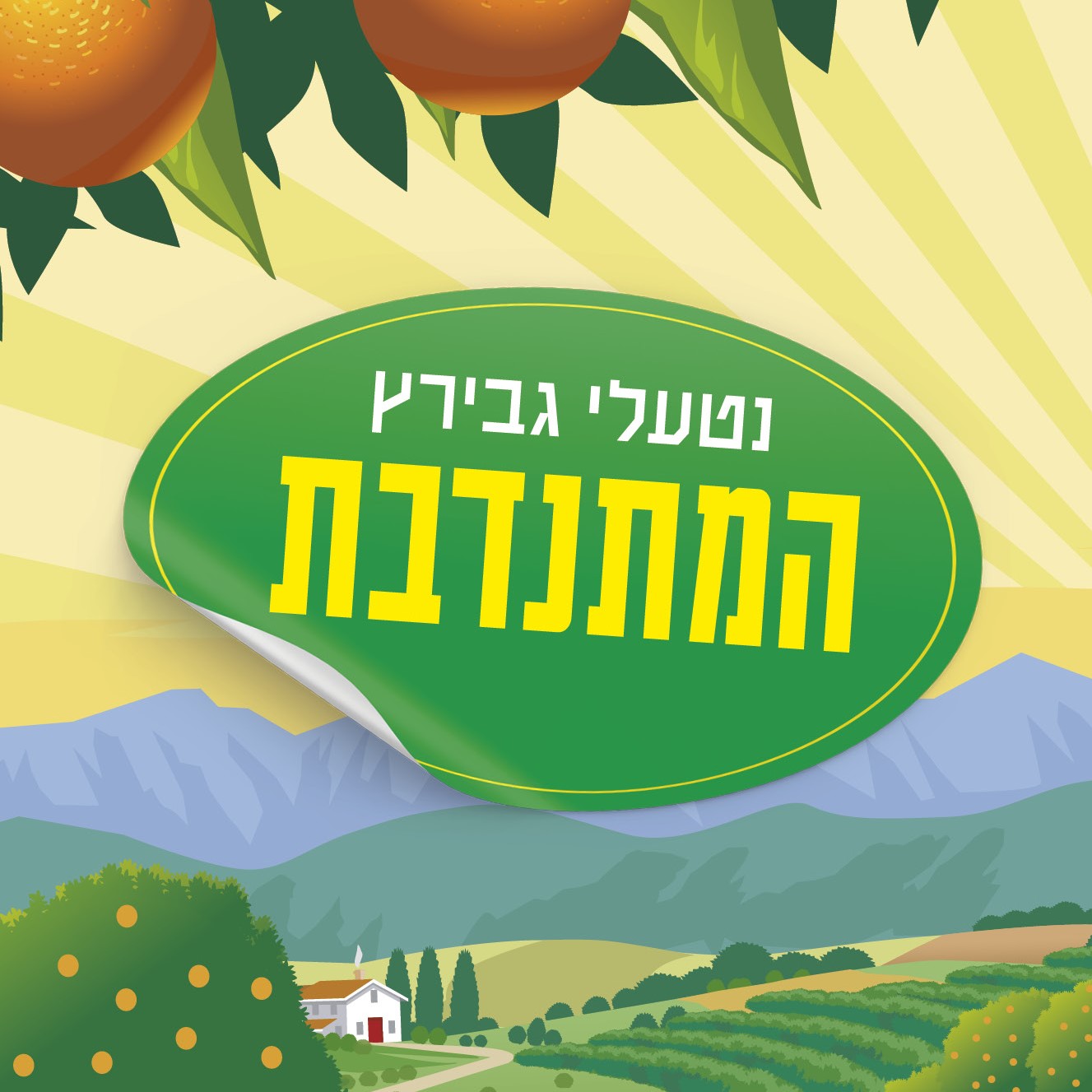 המתנדבת