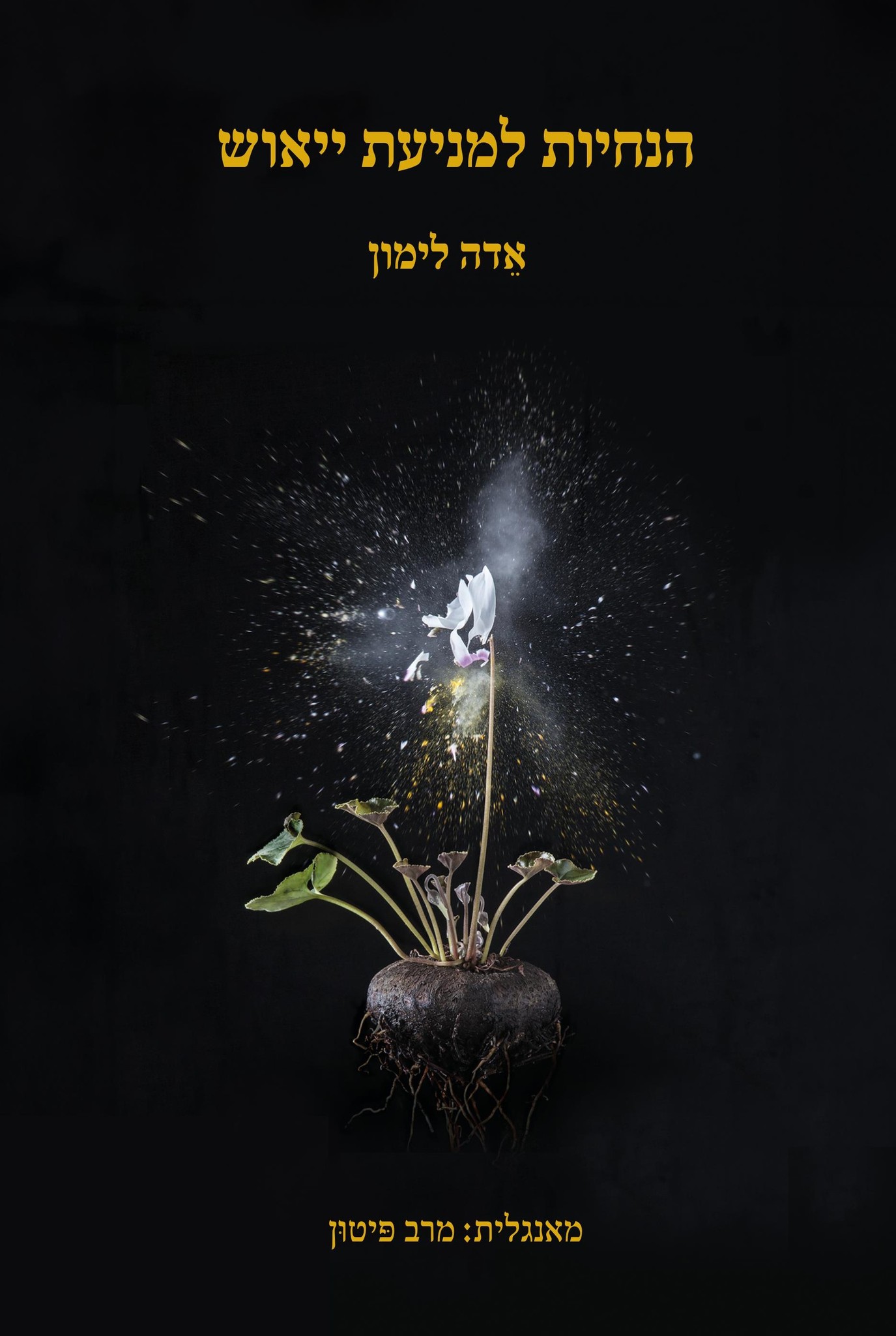 הנחיות למניעת ייאוש