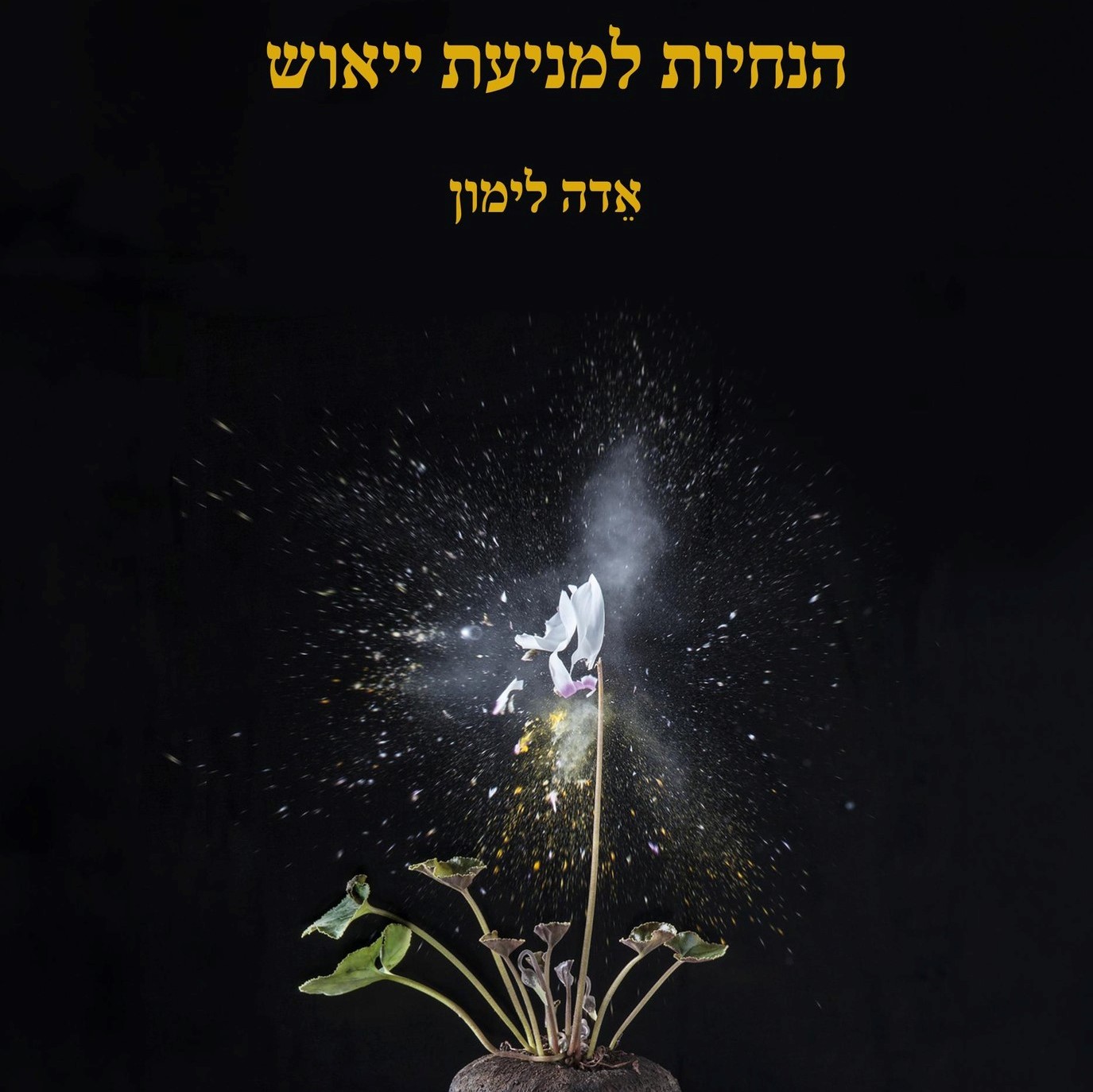 הנחיות למניעת ייאוש