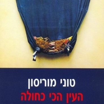העין הכי כחולה