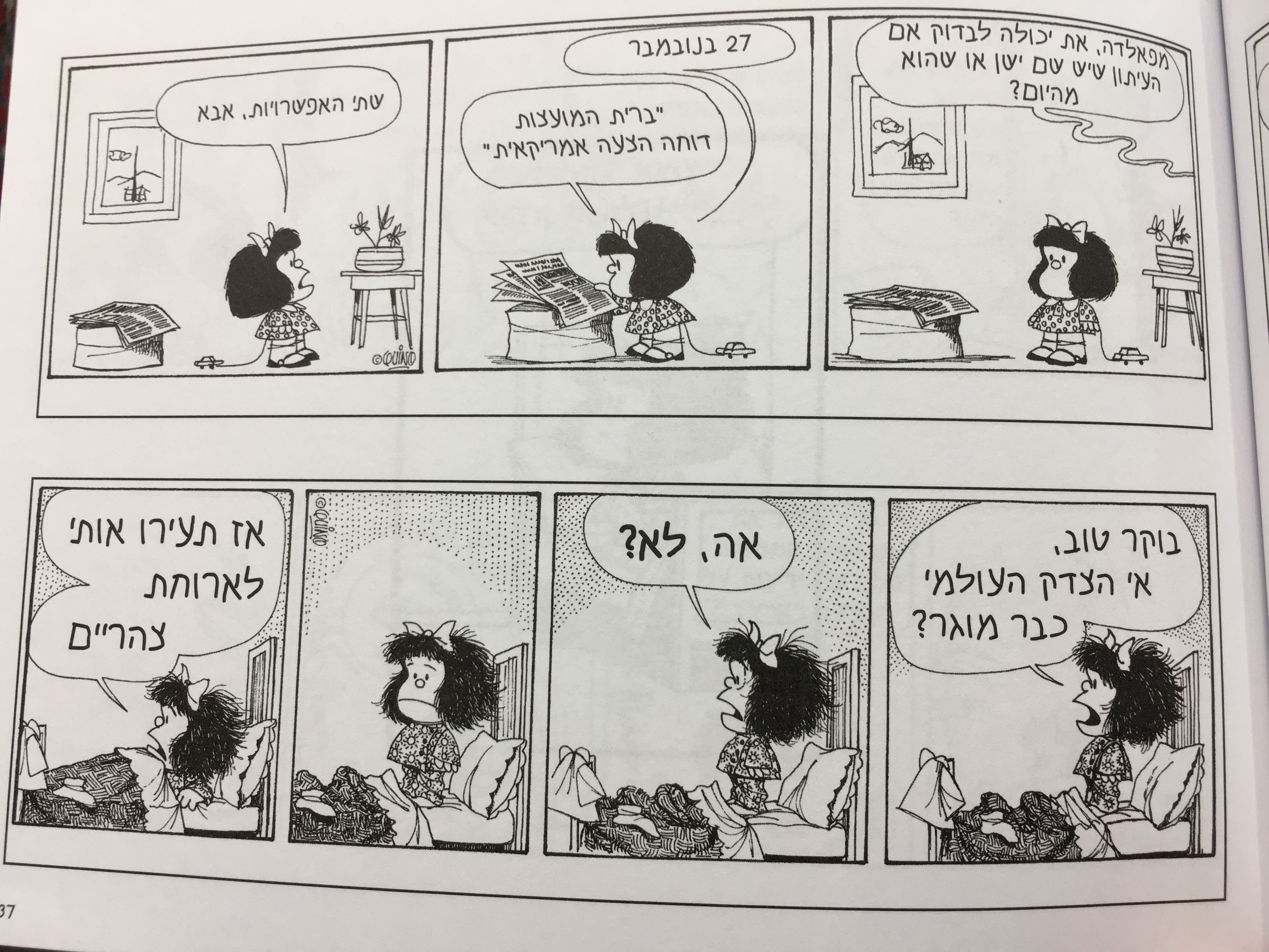 הפוליטיקה על פי מפאלדה