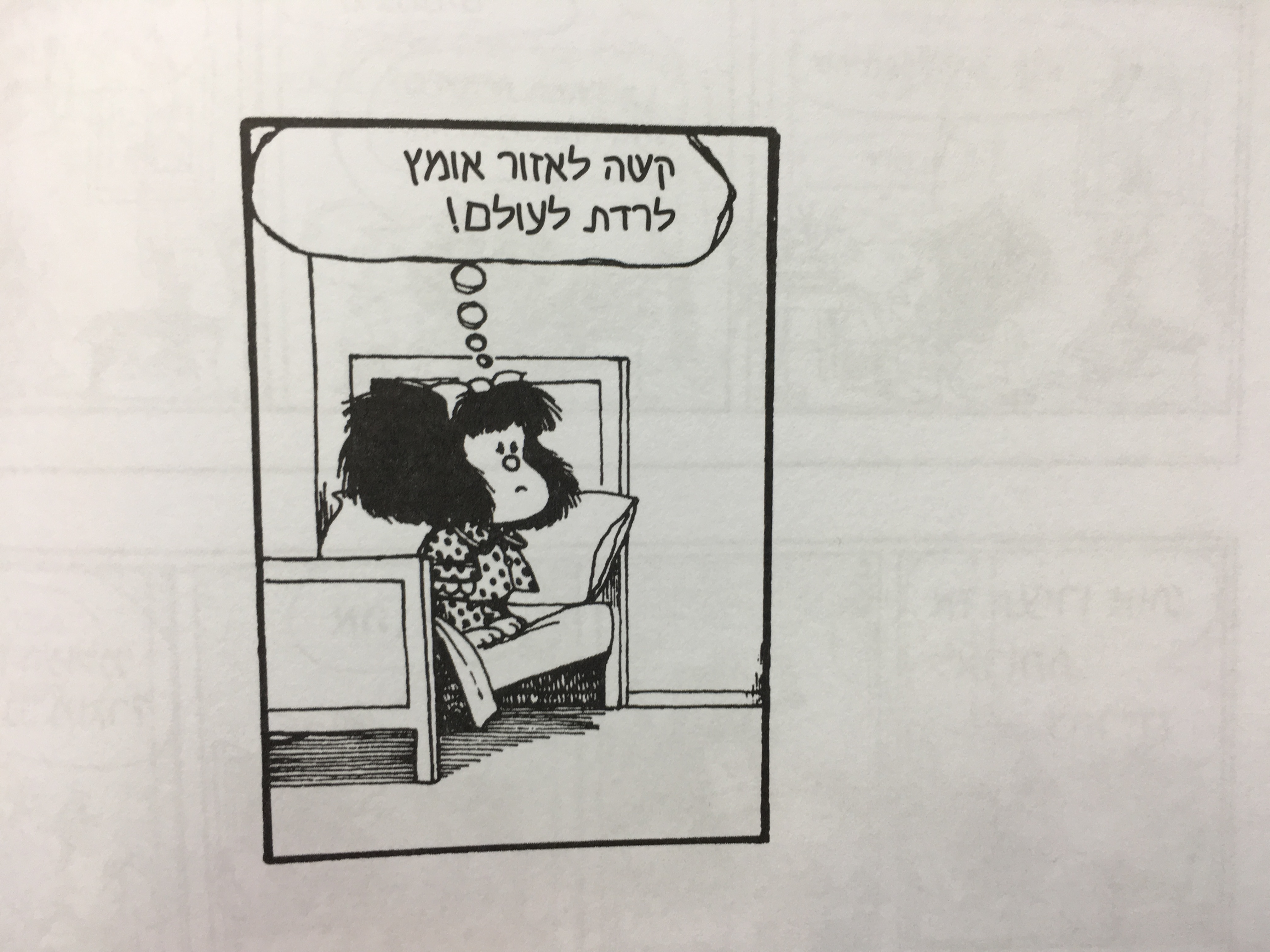 הפוליטיקה על פי מפאלדה