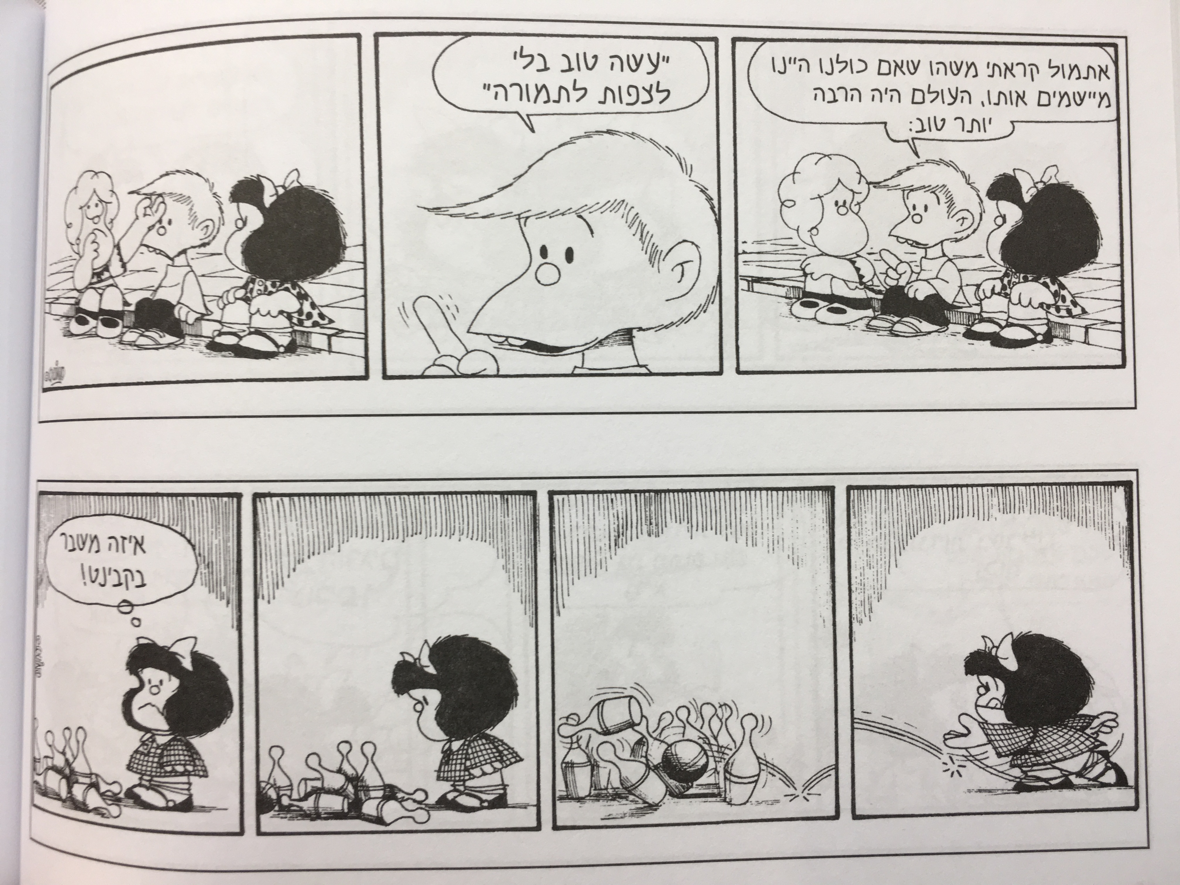 הפוליטיקה על פי מפאלדה
