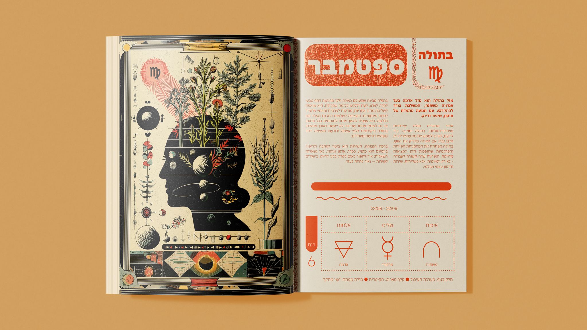 הפלאנר האסטרולוגי שלי 2026 - לוח תכנון שבועי