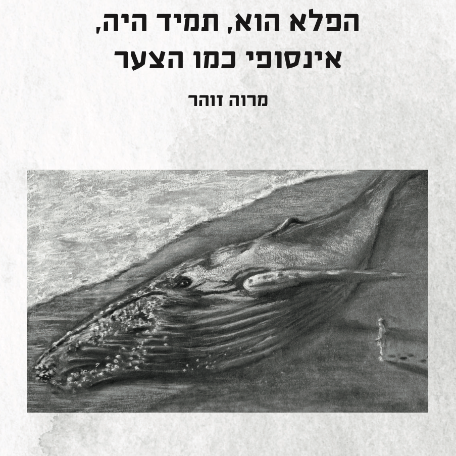 הפלא הוא, תמיד היה, אינסופי כמו הצער