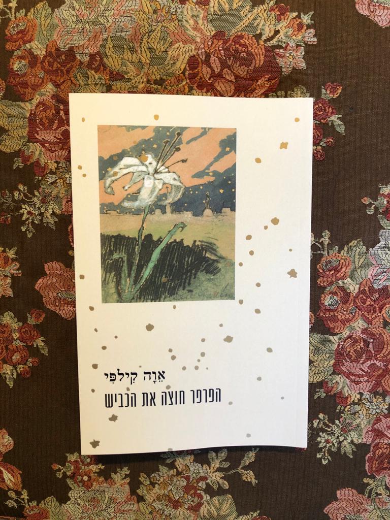הפרפר חוצה את הכביש
