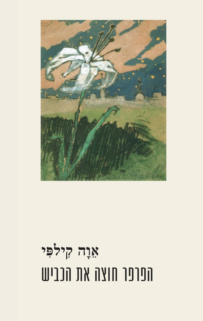 הפרפר חוצה את הכביש