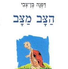 הצב מצב