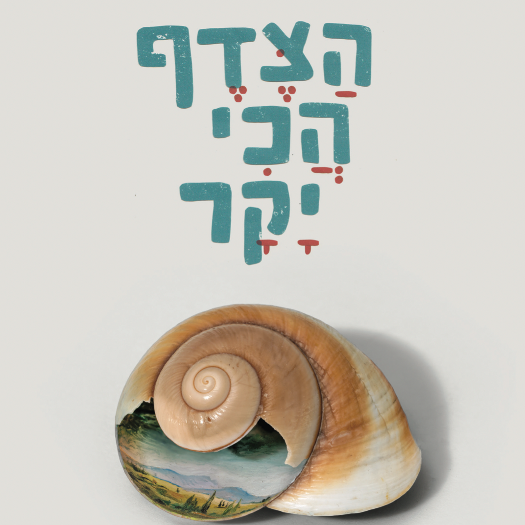 הצדף הכי יקר