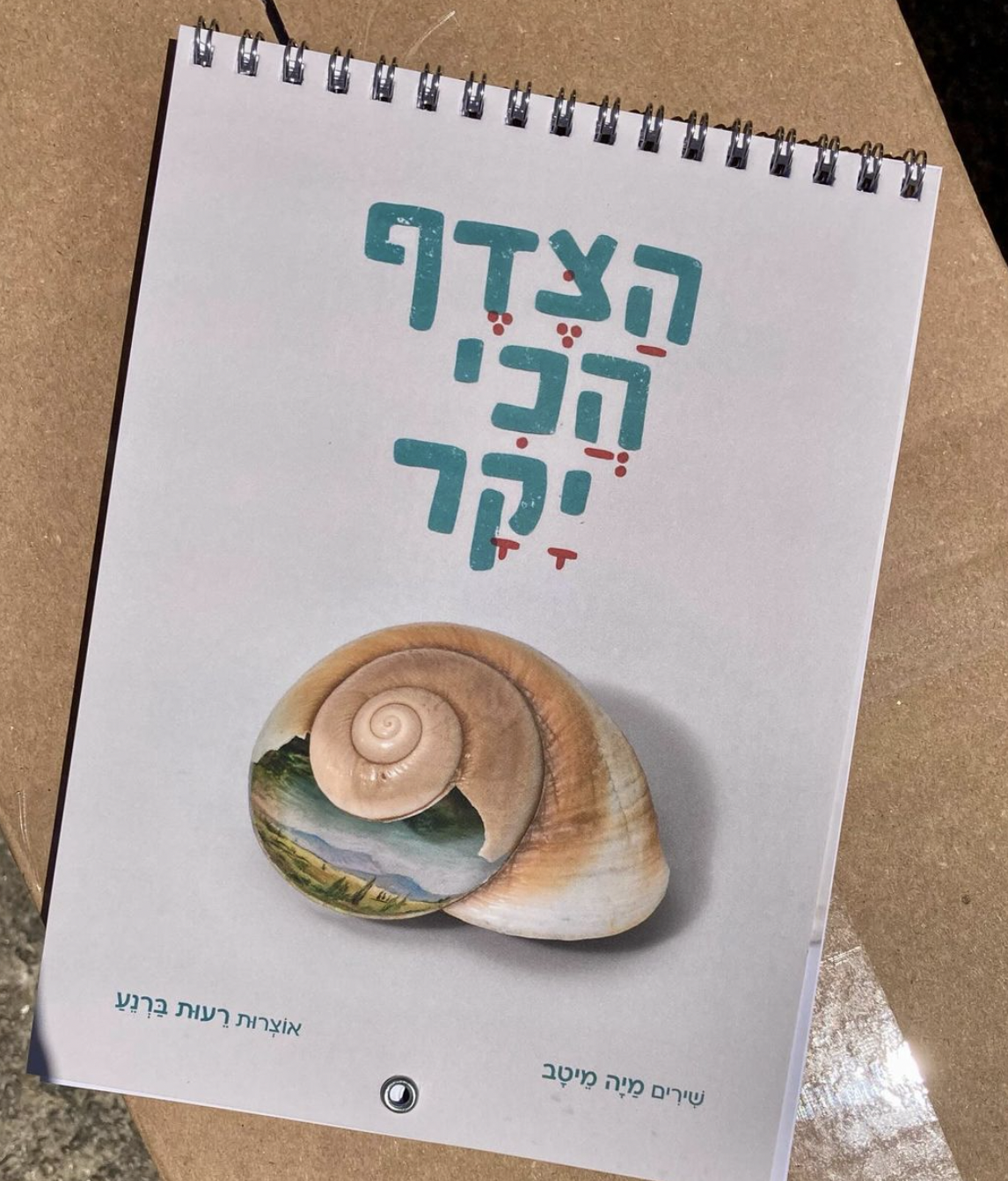 הצדף הכי יקר