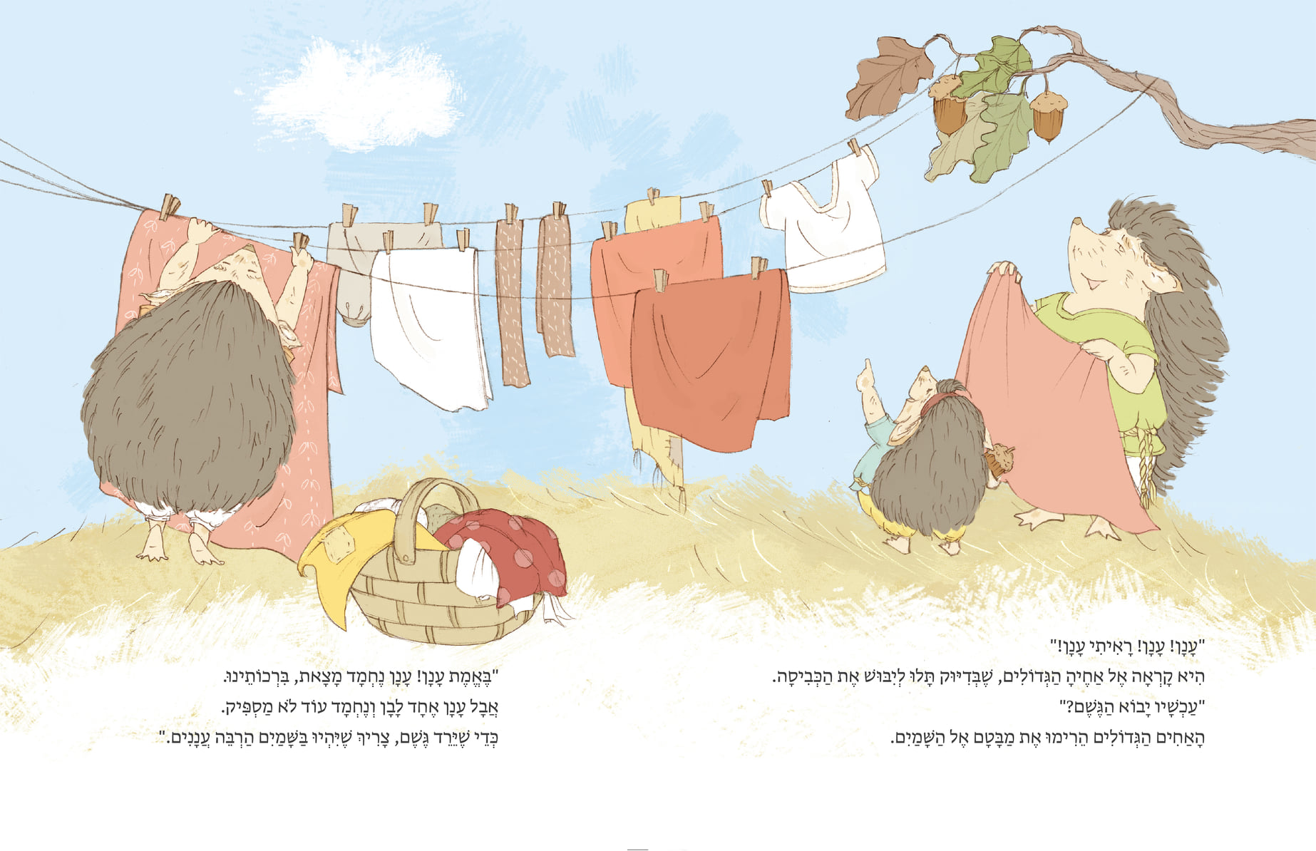 הקיפודה ברכותינו מחכה לגשם