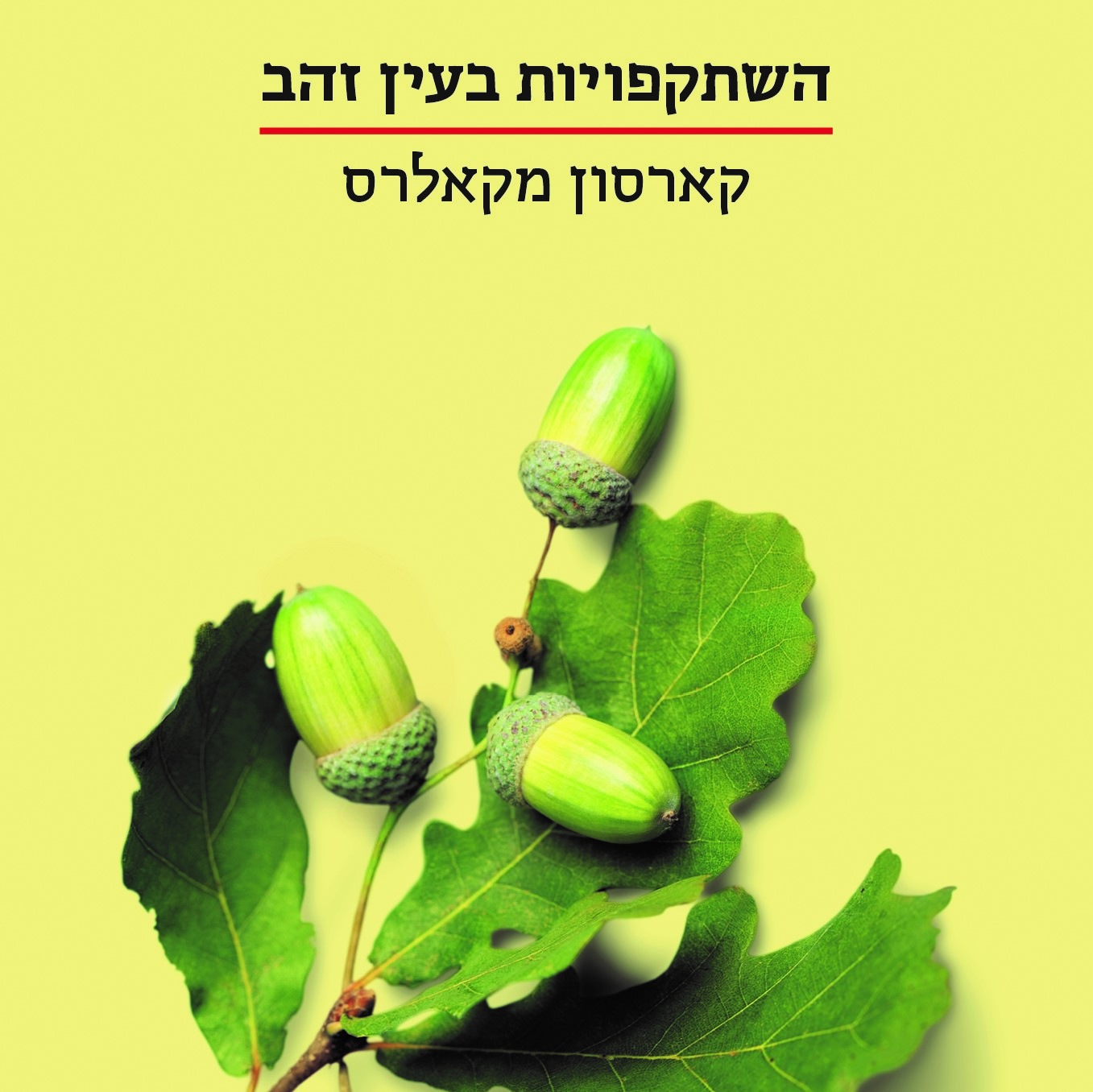 השתקפויות בעין זהב
