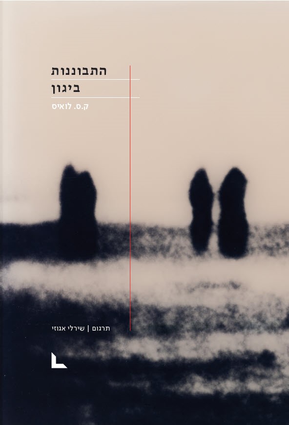 התבוננות ביגון
