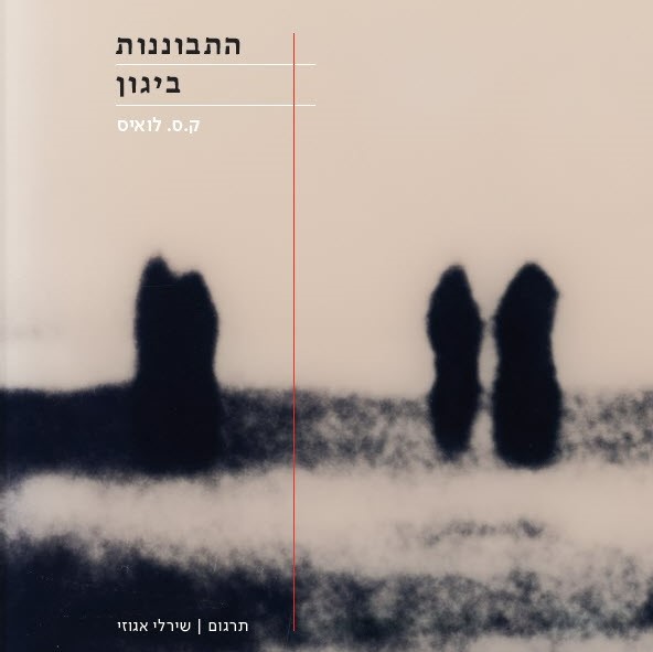 התבוננות ביגון