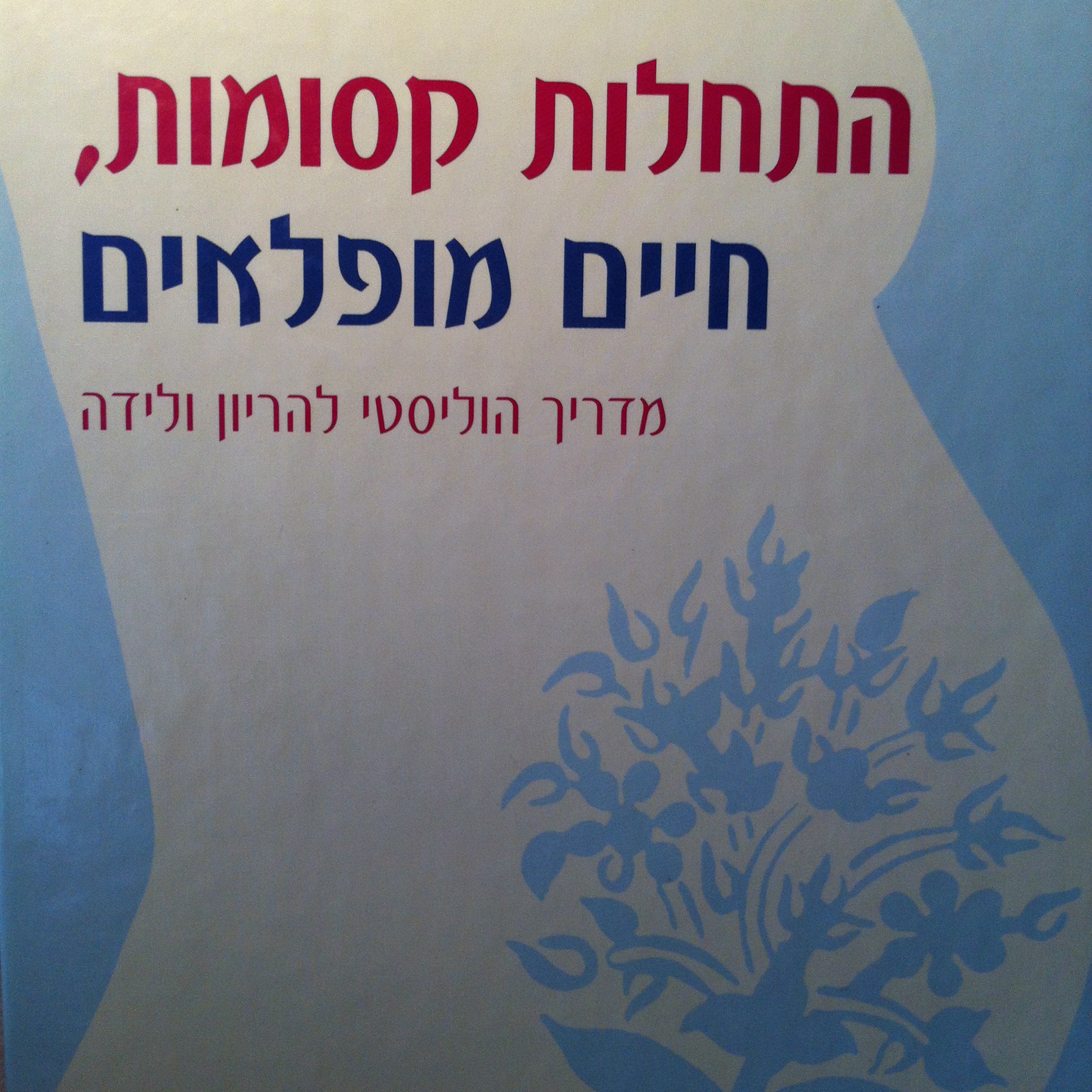 התחלות קסומות חיים מופלאים
