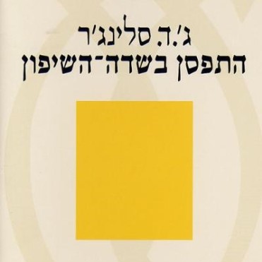 התפסן בשדה השיפון