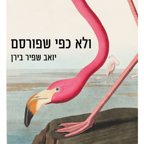 ולא כפי שפורסם