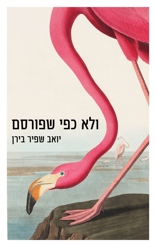 ולא כפי שפורסם