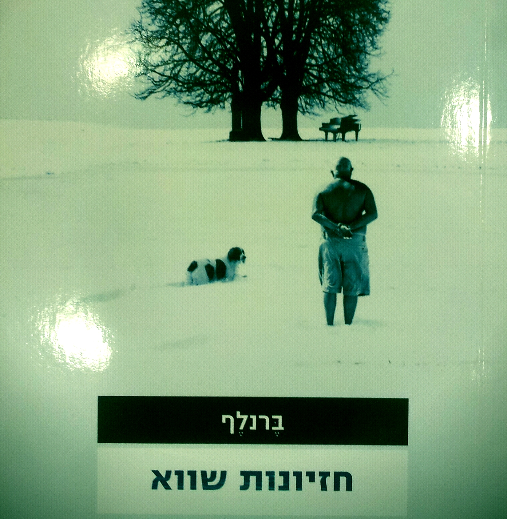 חזיונות שווא