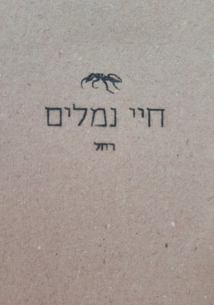 חיי נמלים