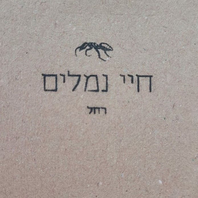 חיי נמלים