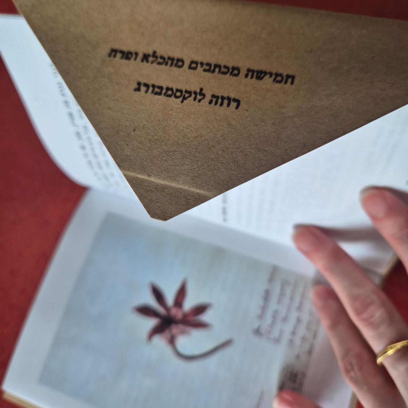 חמישה מכתבים מהכלא ופרח