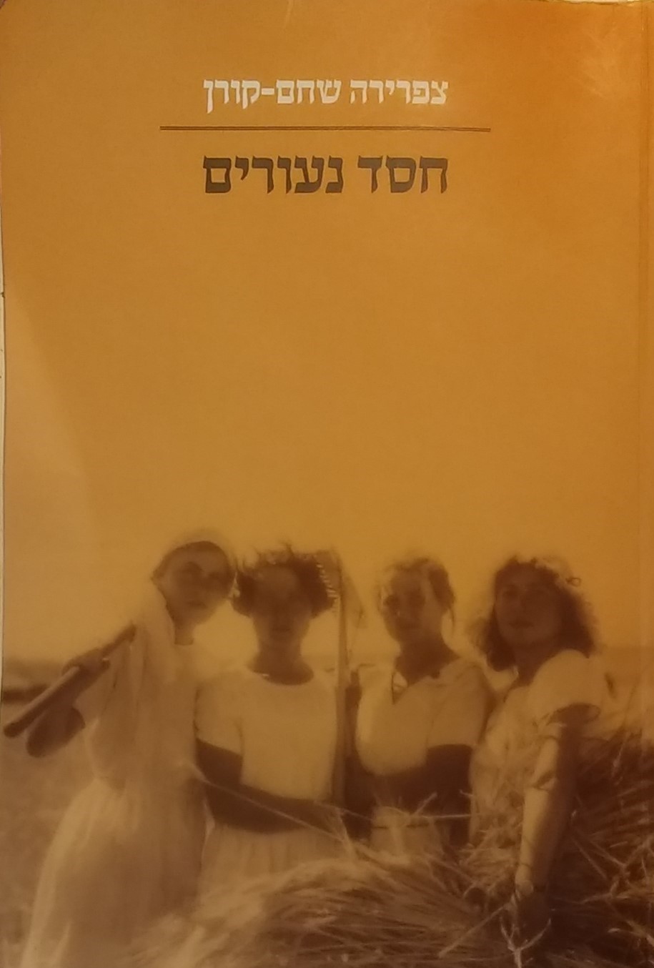 חסד נעורים