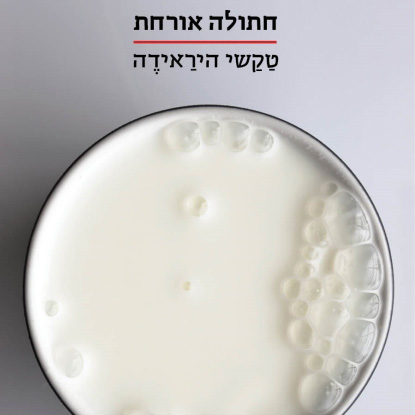 חתולה אורחת