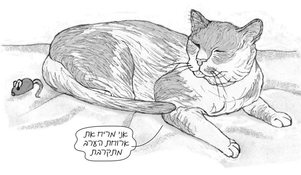 חתולים: עולם של אהבה