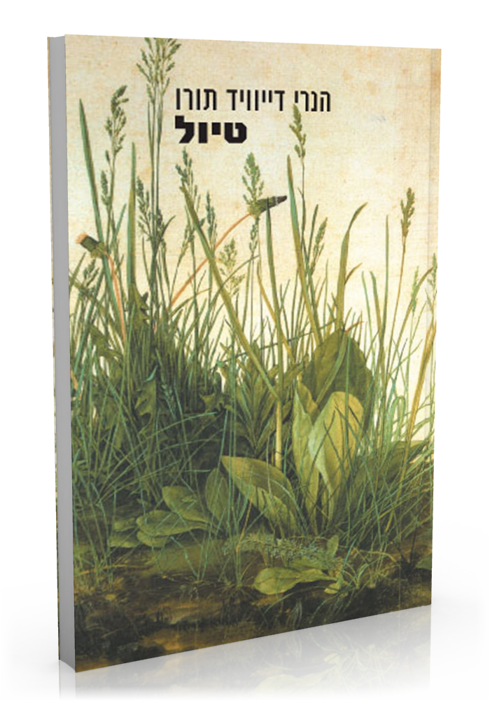 טיול