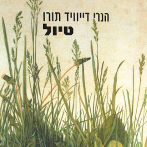 טיול