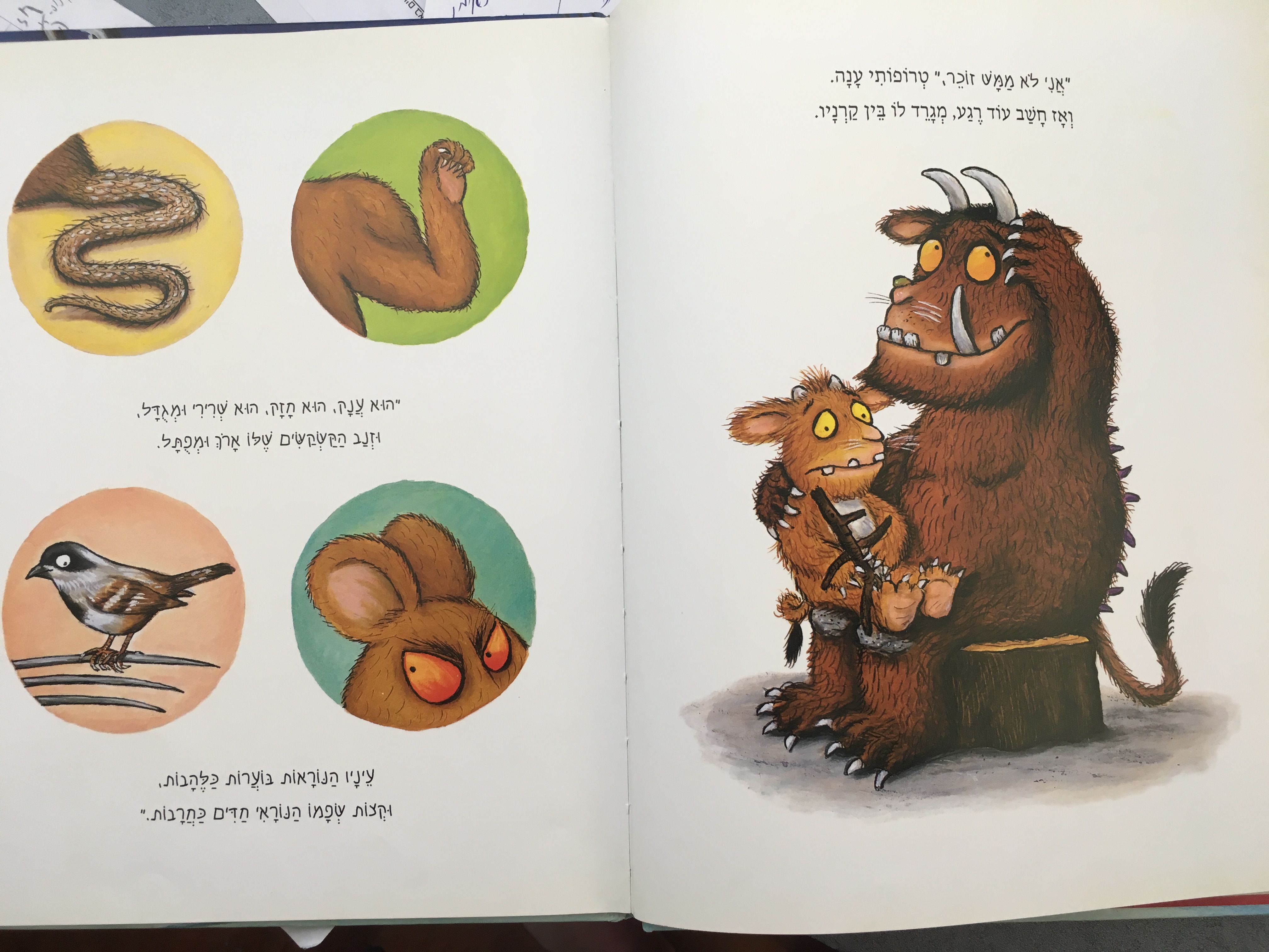 טרופותי הבת