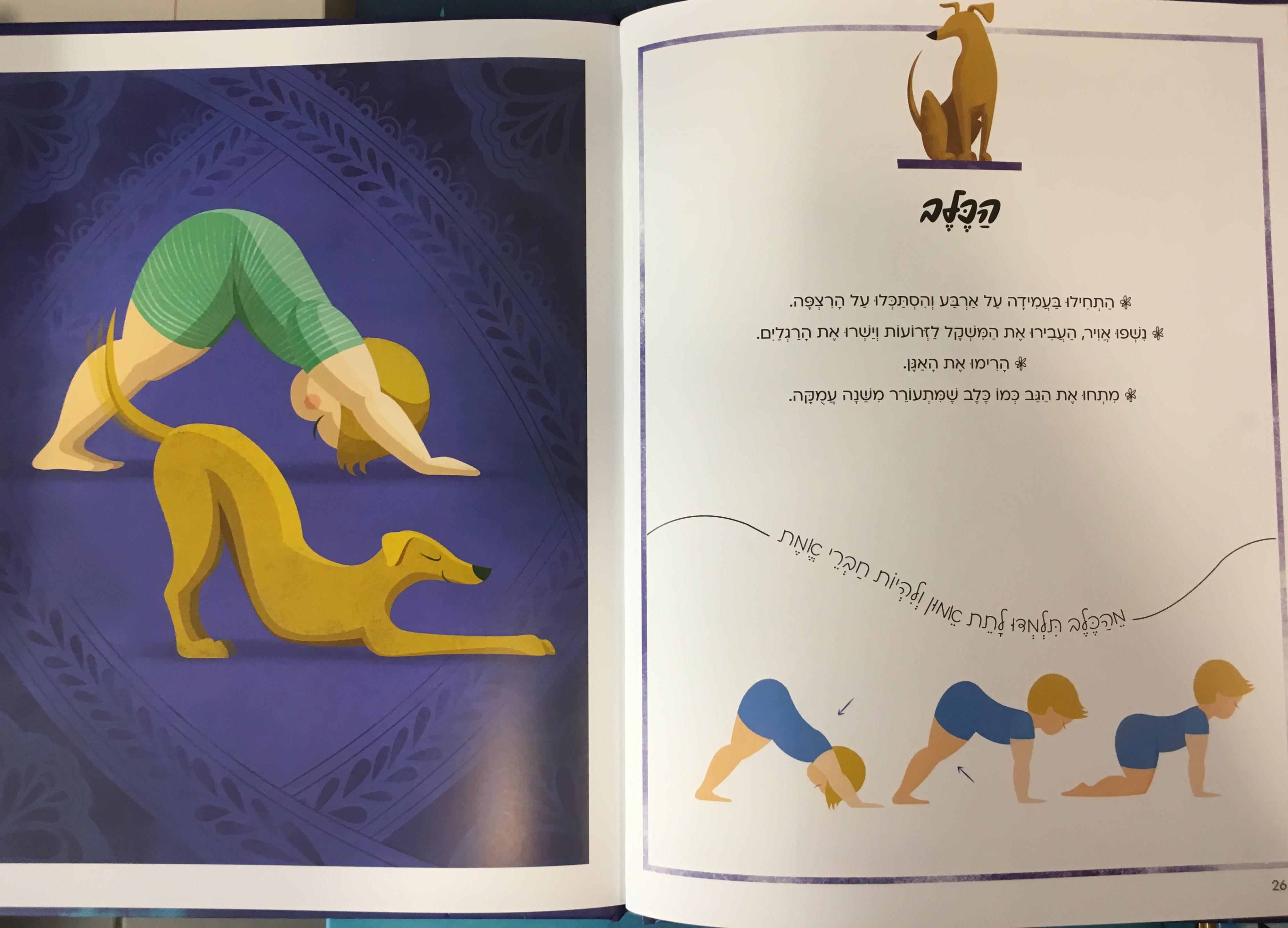 יוגה חיות