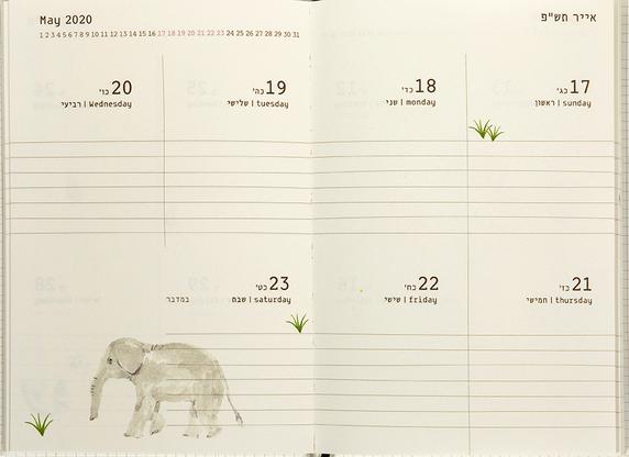 יומן שבועי יולטה 2020-2019 Plants