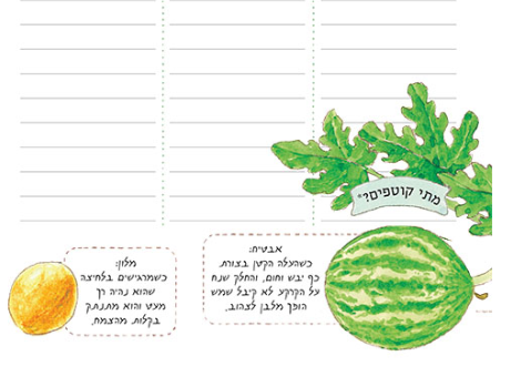 יומן שבועי - שנה בגינה 2020-2019