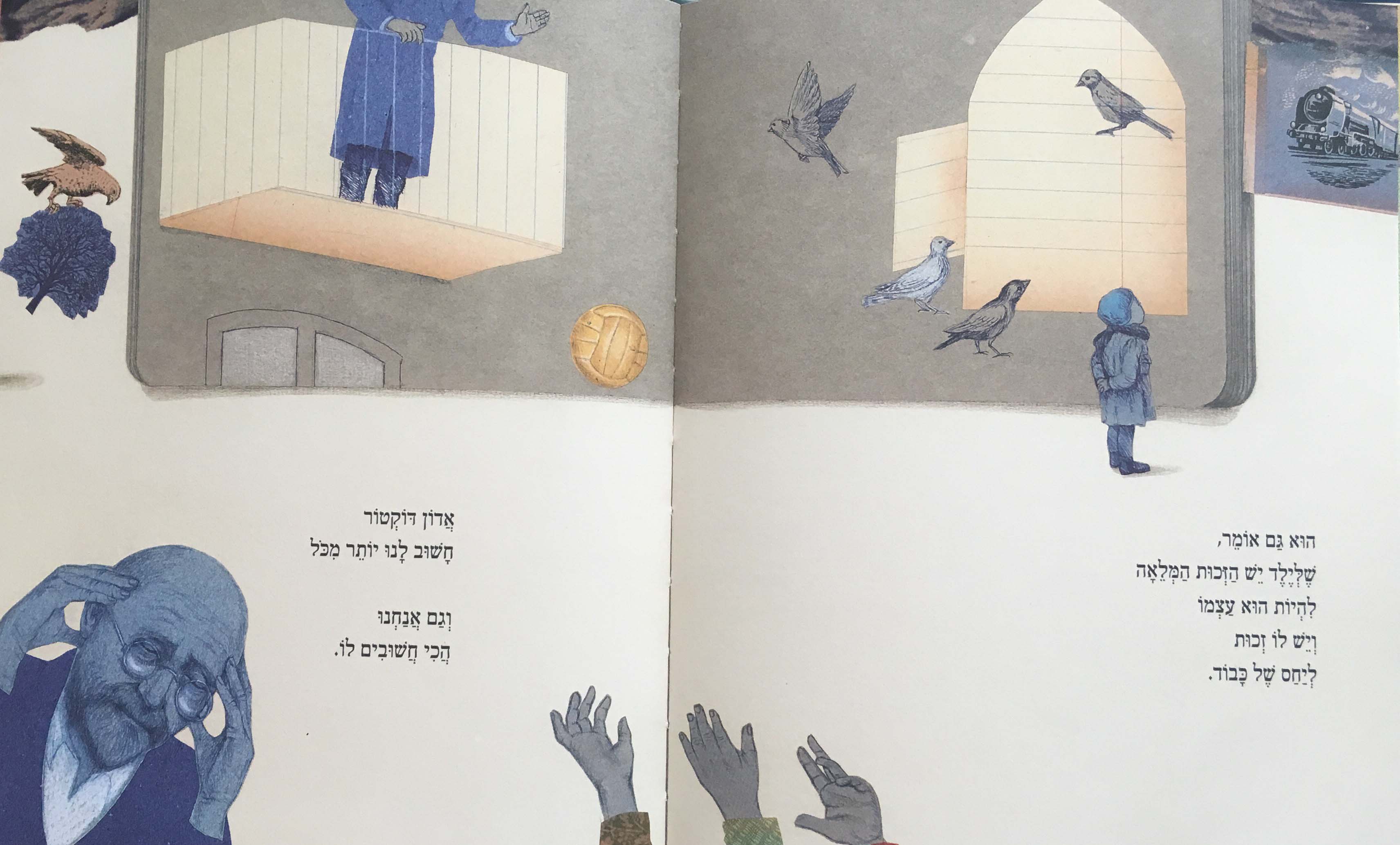 יומנה של בלומקה