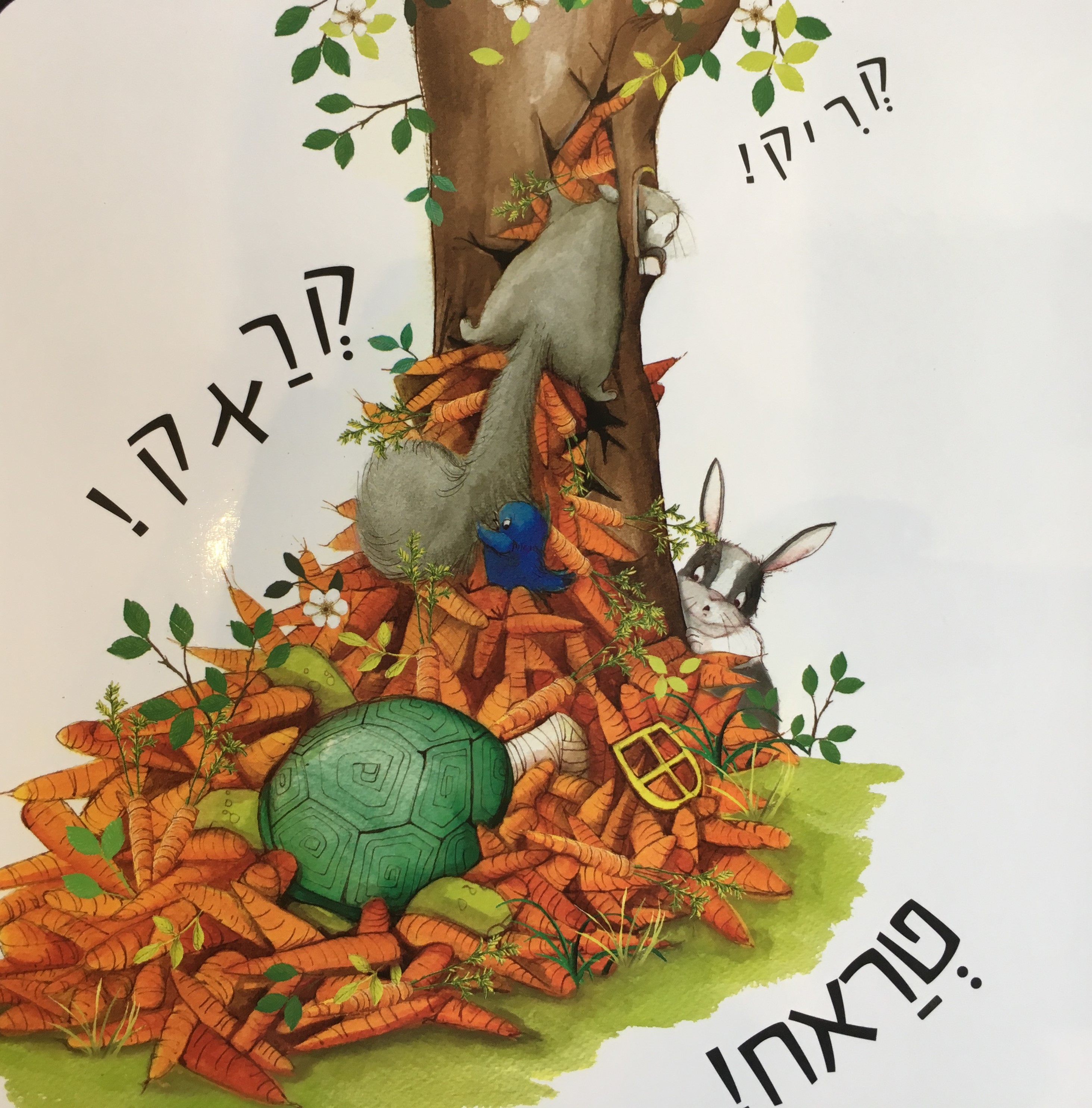 יותר מדי גזרים