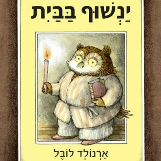 ינשוף בבית