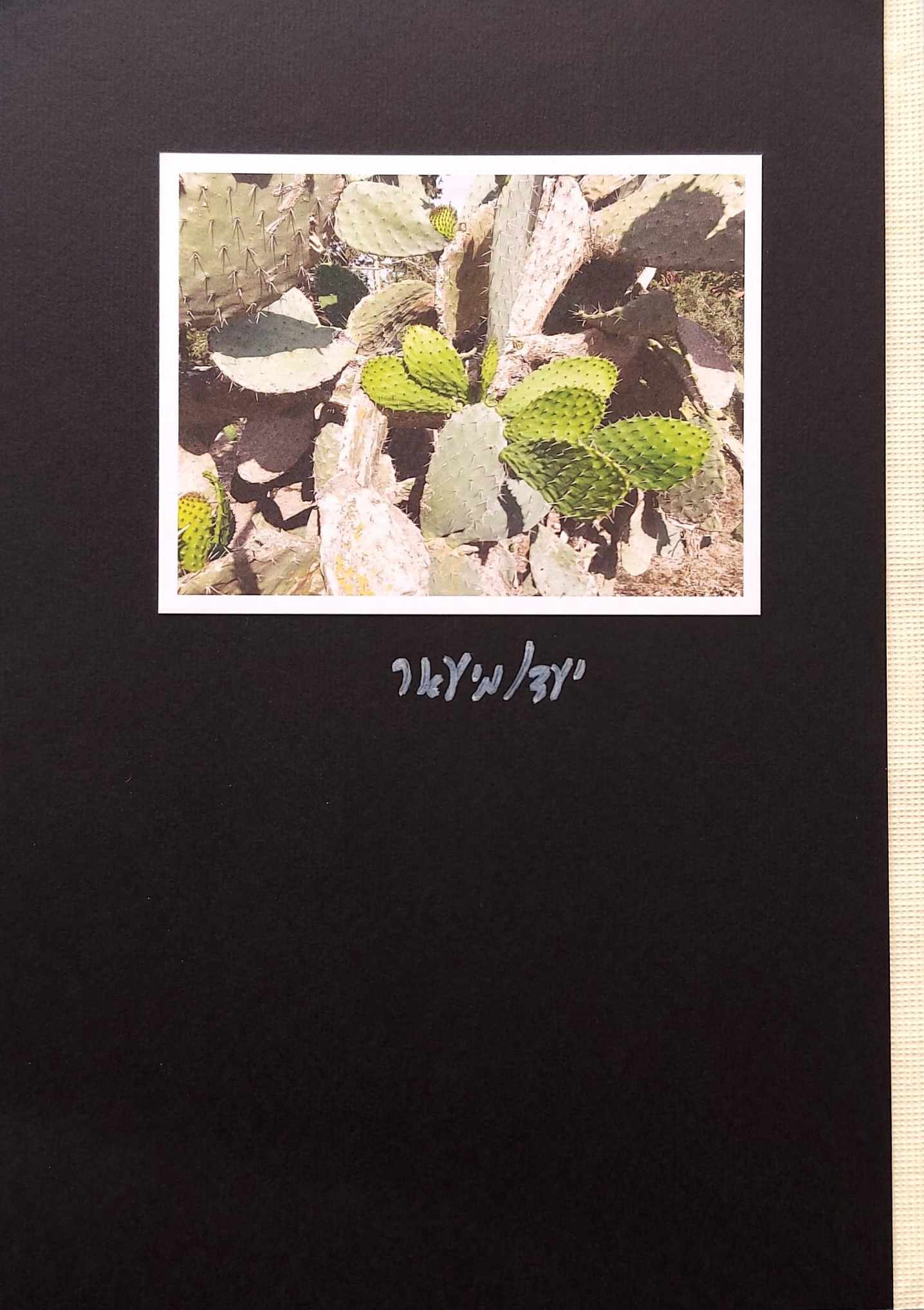 יעד/מיעאר