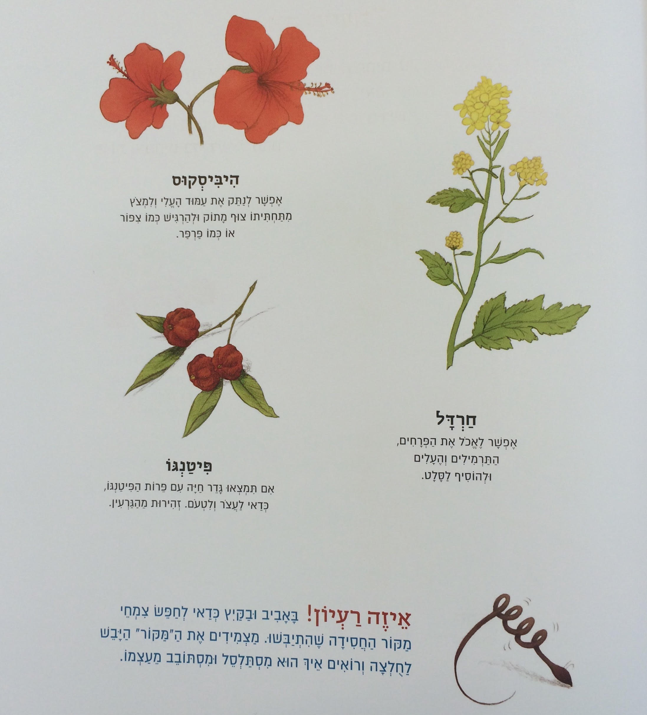 יצאנו לטייל