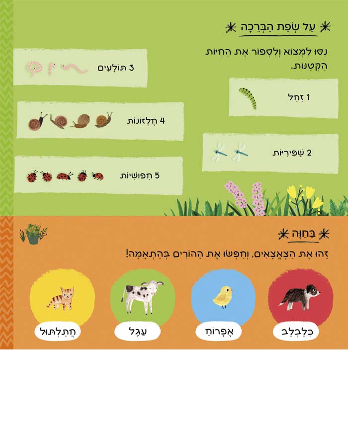 יש כאן 101 בעלי חיים (קרטון)