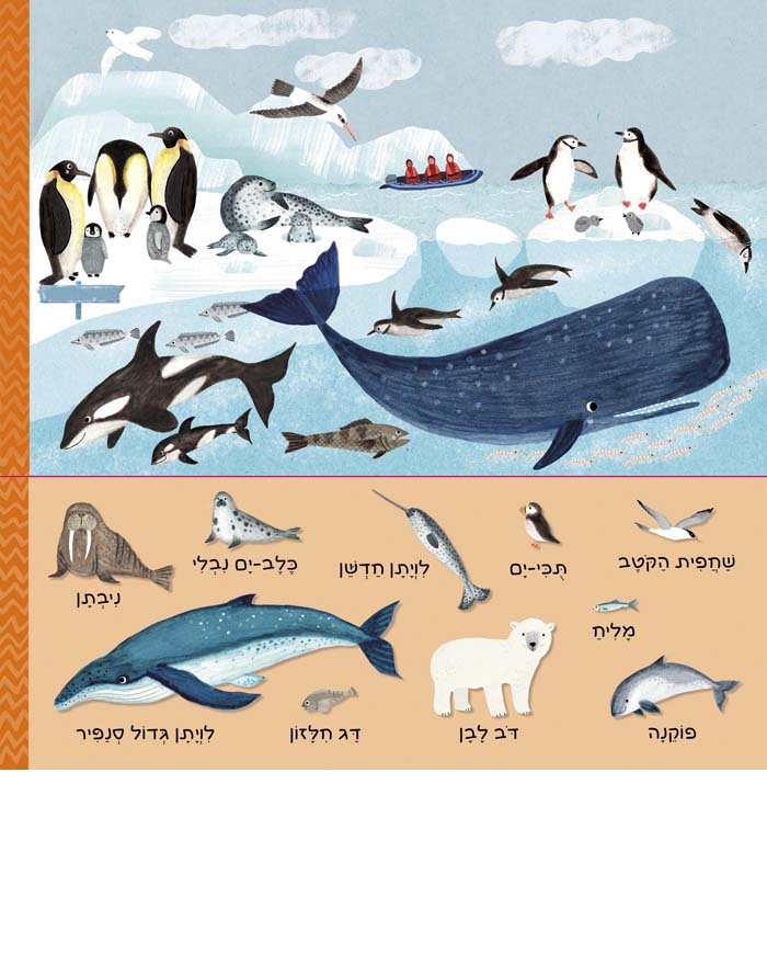 יש כאן 101 חיות ים (קרטון)