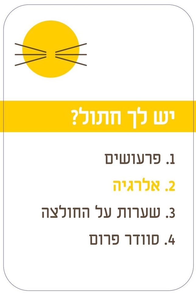 יש לך? משחק רביעיות