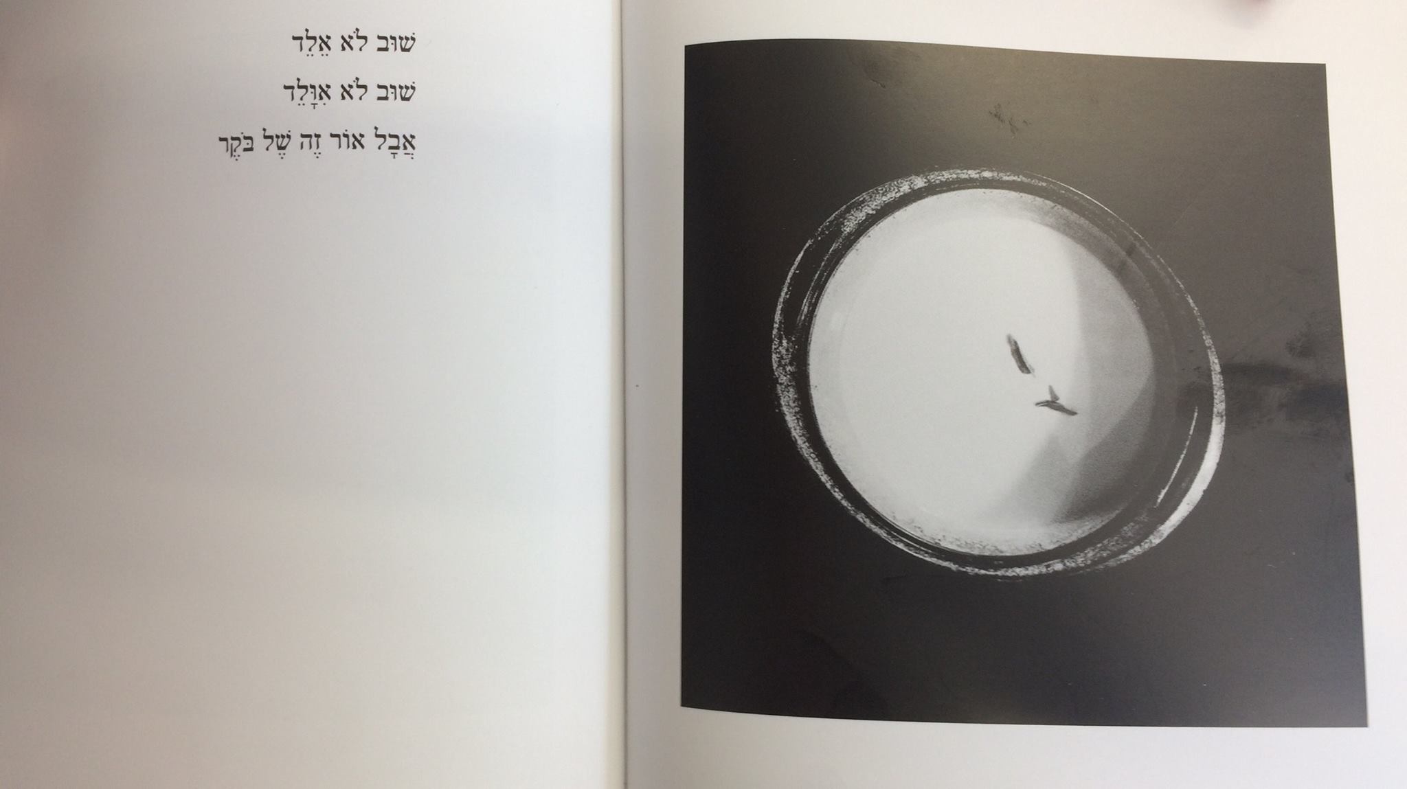 כאן בתוך כאן