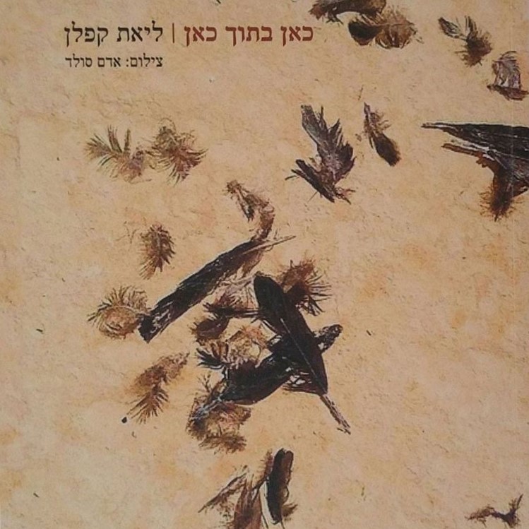 כאן בתוך כאן