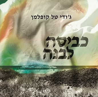 כביסה לבנה