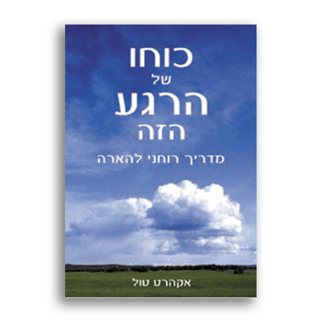 כוחו של הרגע הזה-מדריך רוחני להארה