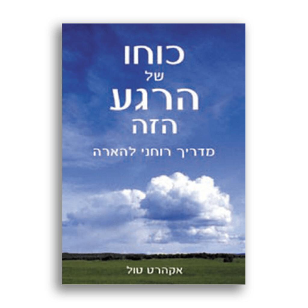 כוחו של הרגע הזה-מדריך רוחני להארה